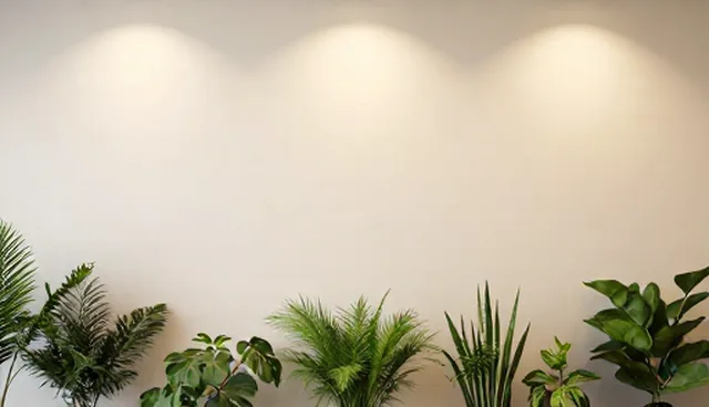 性能优化中的常见误区与正确理解