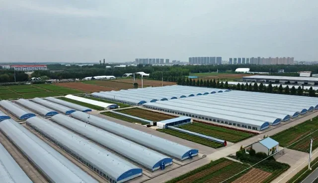 医院应用基础知识